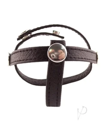 Rouge Three Piece Divider Adjustable Snap Leather Black