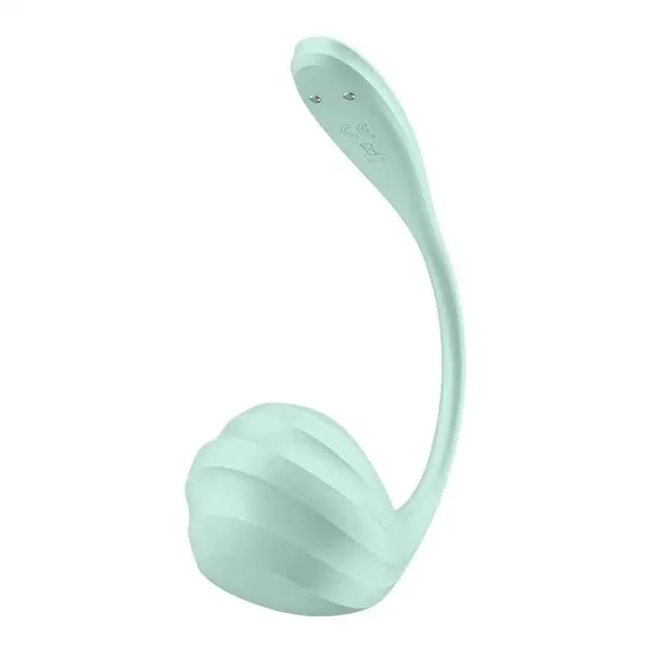 Satisfyer Smooth Petal Smart Wearable Vibrator