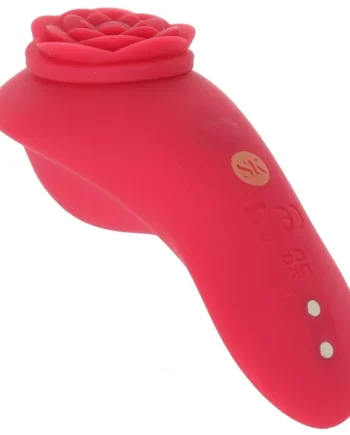 Secret Kisses Surprise Panty Vibe