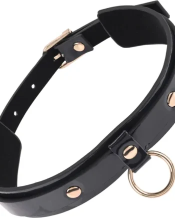 Sex & Mischief Orbit Day Collar By Sportsheets