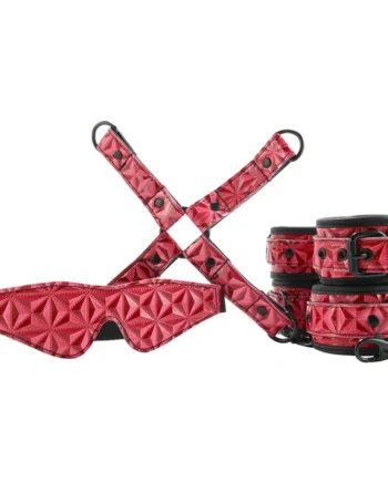 Sinful Vinyl Bondage Kit in Red/Black
