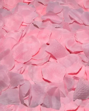 SPICY DEVIL - 100 PINK PETALS