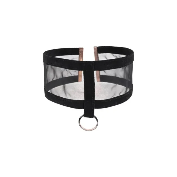 Sportsheets Sex & Mischief Sheer Day Collar