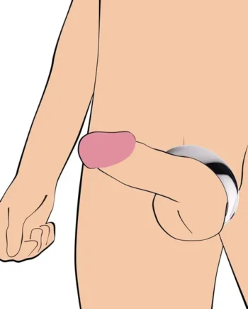 Stainless Steel Cock Ring – 2.25 Inches