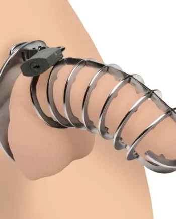 Stainless Steel Spiked Chastity Cage