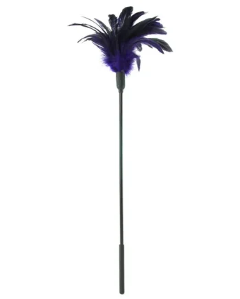 Starburst Feather Body Tickler in Violet