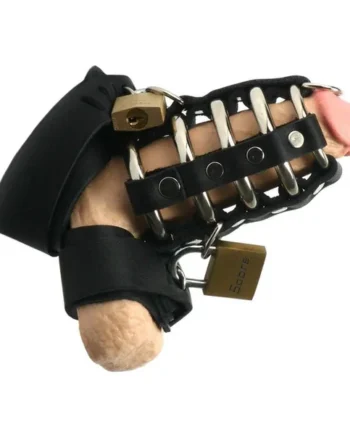 Strict Leather Gates of Hell Chastity Device