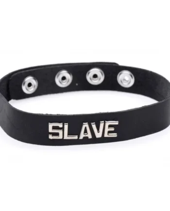 Strict Leather Id Collar