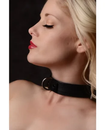 Strict Leather Luxury Locking Collar