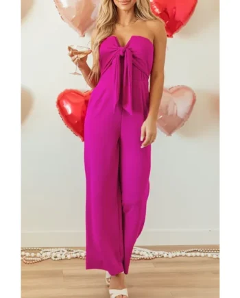 Tied Tube Wide Leg Jumpsuit