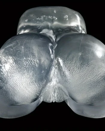💎 ToysPleasure™ Transparent Bubble Butt Torso – 5.6LB