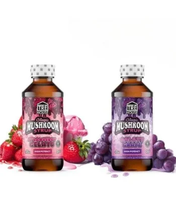 TRE House 4oz Magic Mushroom Syrup Strawberry Gelato
