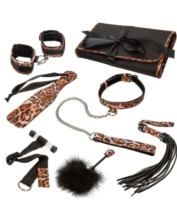 Unleashed Adventure Set