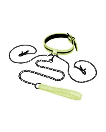 WhipSmart Glow in the Dark Collar with Nipple Clips and Leash – Green