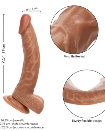 WORKING STIFF THE PERSONAL TRAINER