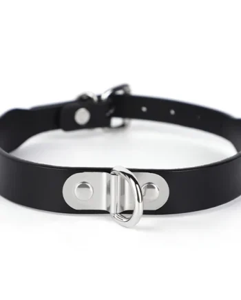 ZYL Genuine Leather Bolted D-Ring Collar