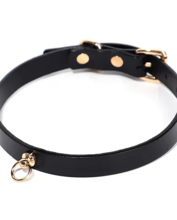 ZYL Genuine Leather O-Ring Day Collar